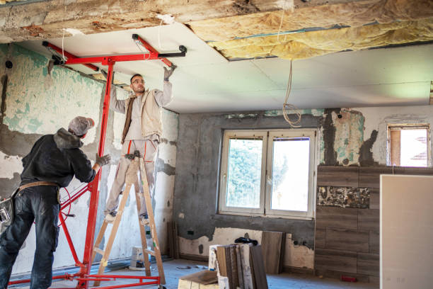 Best Insulation Contractor Near Me  in Summit, IL