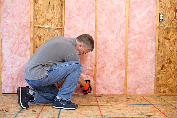 Best Home Insulation Services  in Summit, IL